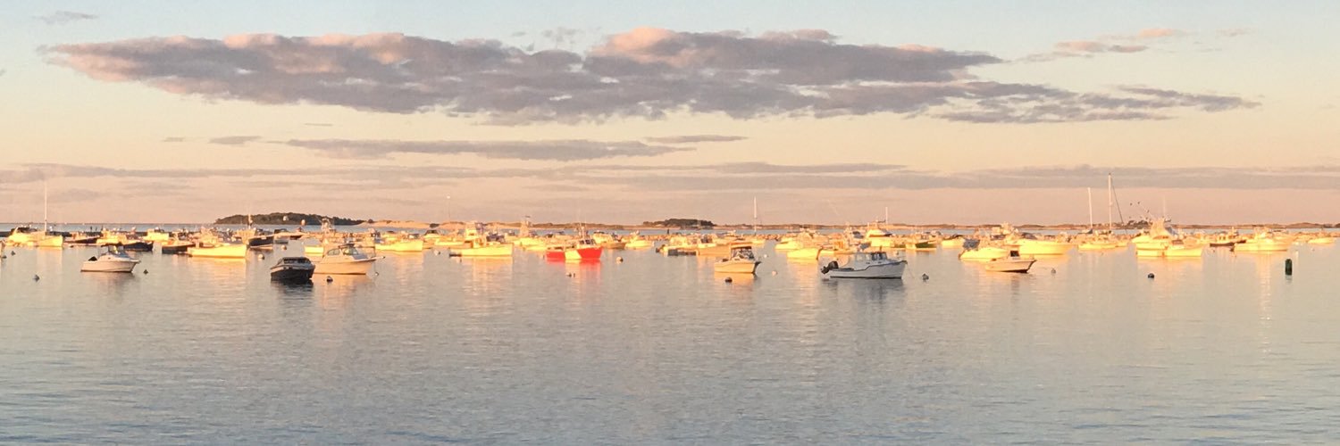 Little Beaver banner