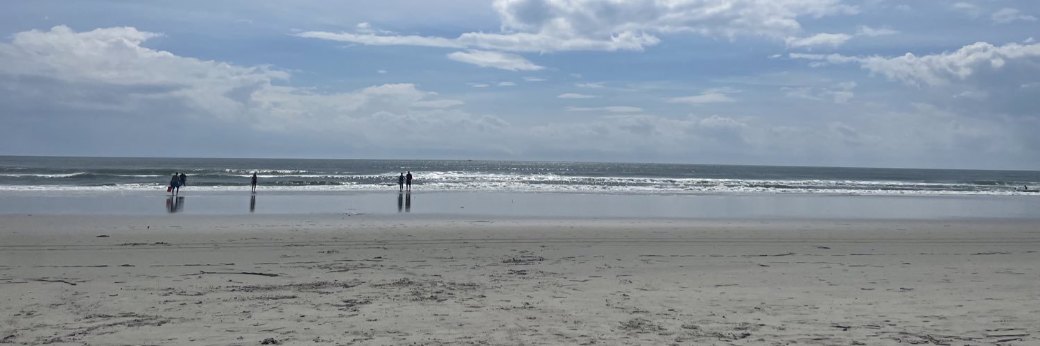 Mrs. Prochnow banner