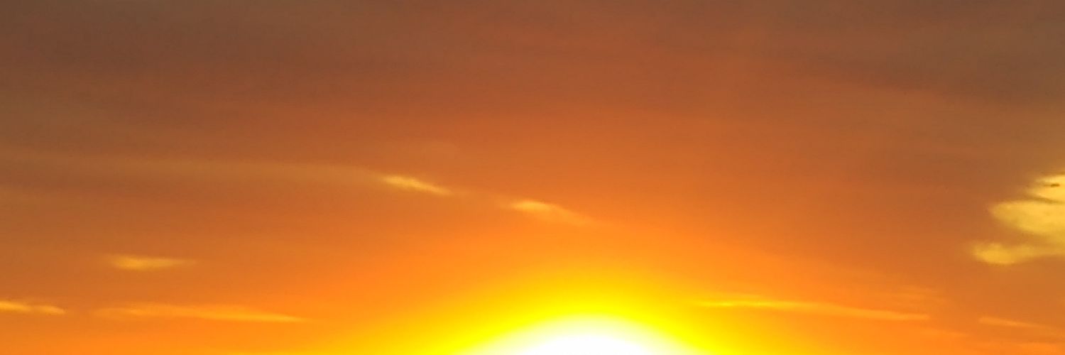 manubertoldipg's profile banner image