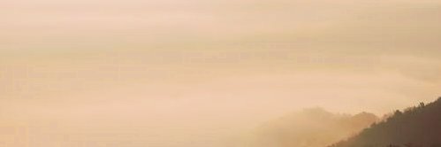 Koenighain's profile banner image