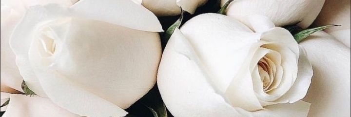 MaSe_Chabz_'s profile banner image