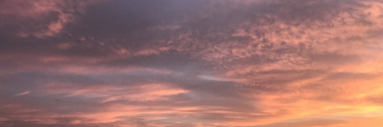 phalsi's profile banner image