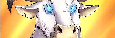 0815Kbraa's profile banner image