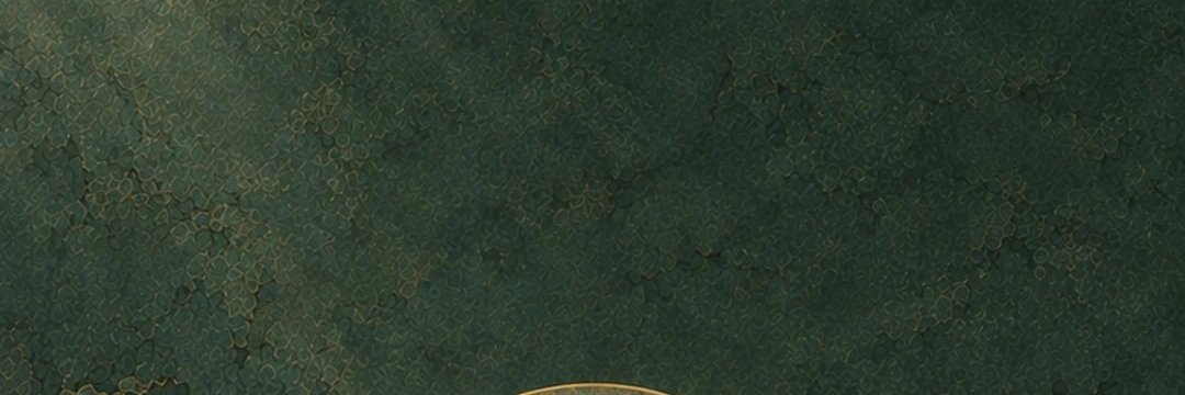 faculopez88's profile banner image
