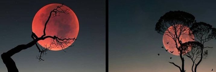 MoonLight_k3's profile banner image