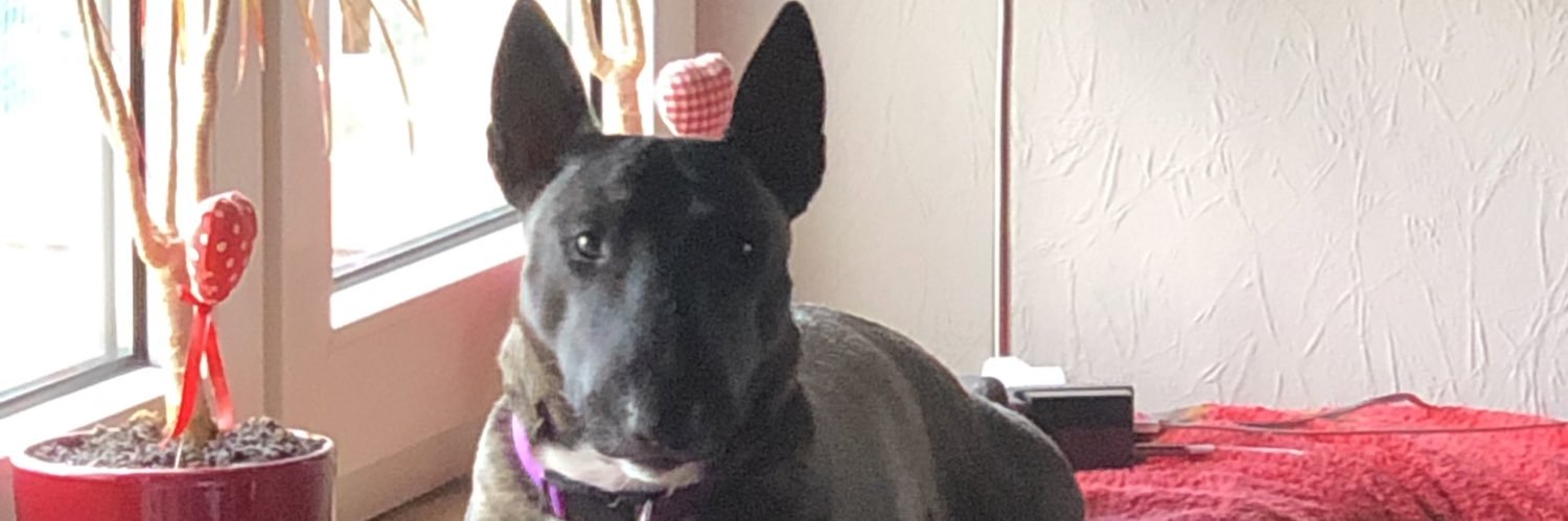 B.C. Yukon 🏴‍☠️🇪🇺🇫🇷🇨🇦 banner