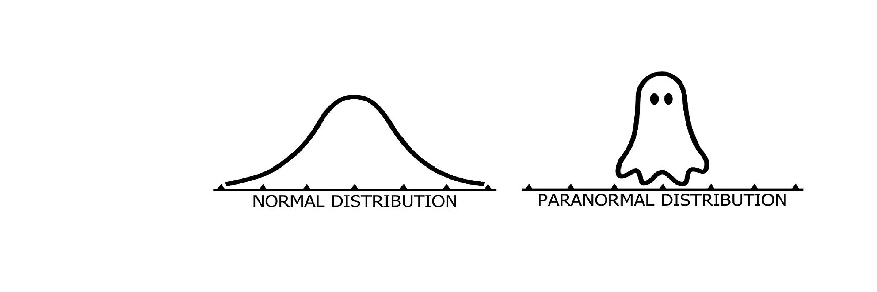 Magdalena Nowakowska banner