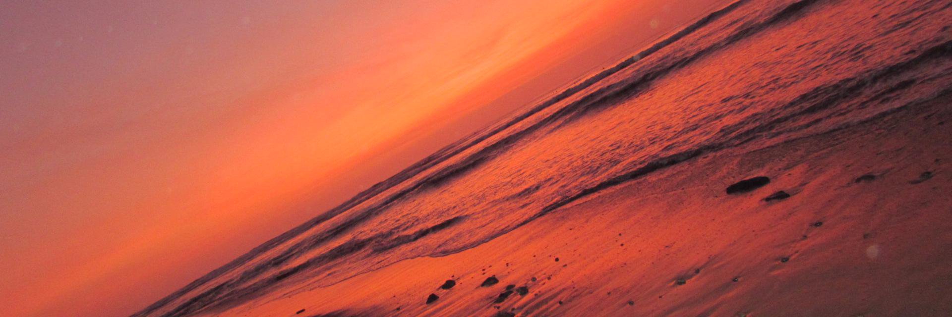 AnaClaudiaFlorM's profile banner image