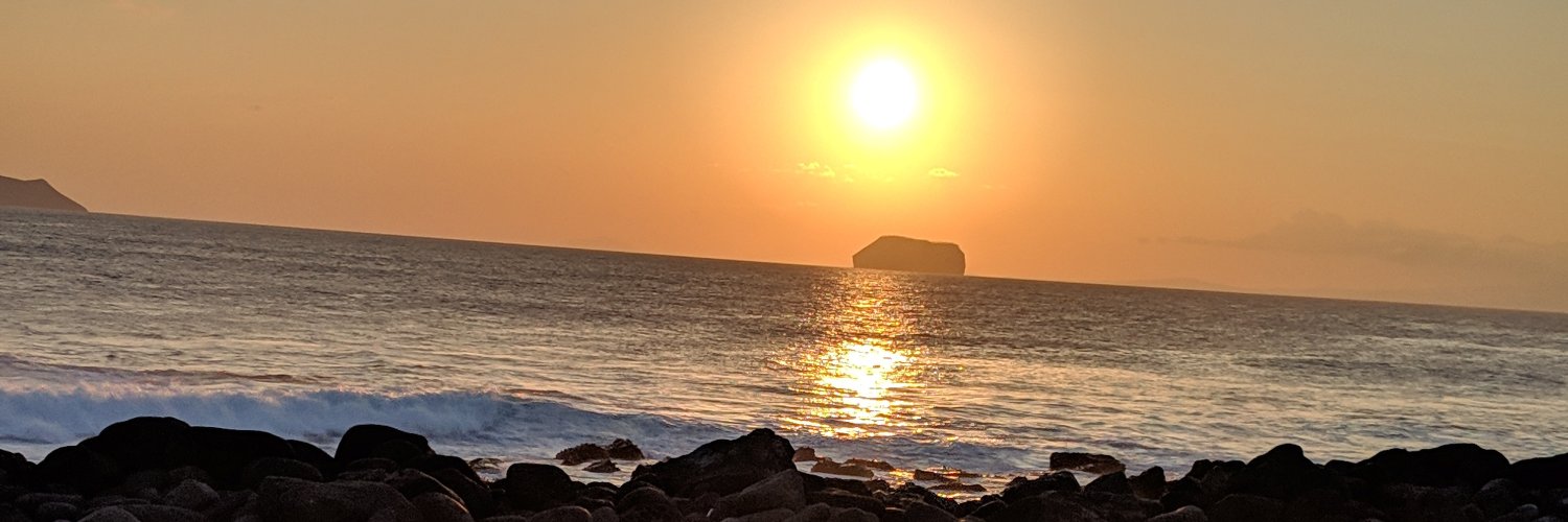 EarthWhorls's profile banner image