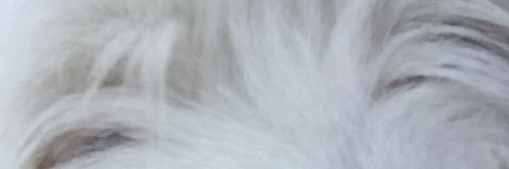 OzzPadilla's profile banner image