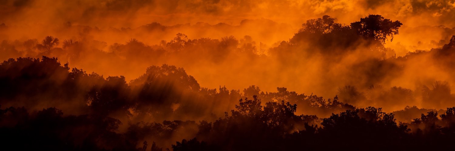 Lucas Bustamante banner