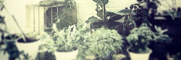 FinFingers Profile Banner