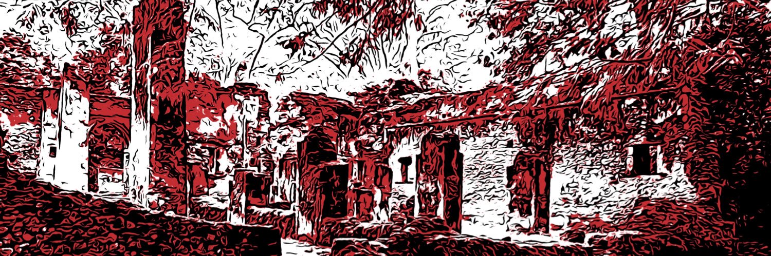 SilbermannR's profile banner image