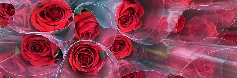 Zulely's profile banner image