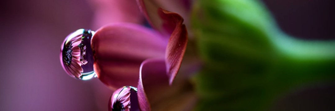 cindyloo99's profile banner image