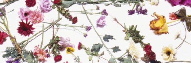 dal_salem's profile banner image