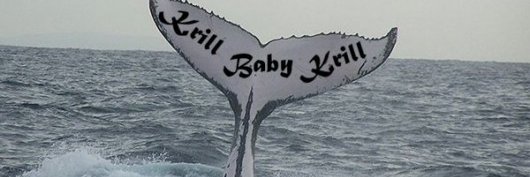 KbKrill's profile banner image