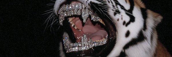 MattTurboSetHut Profile Banner