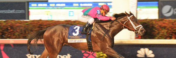 JockeyTack Profile Banner