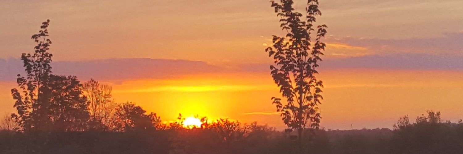 Laura Harrison banner