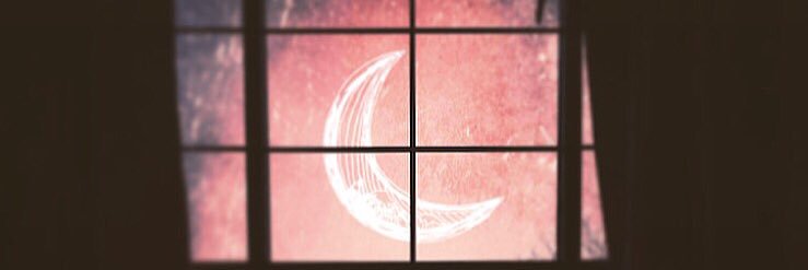 WeAreNLT's profile banner image