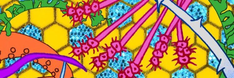 hecticmatter's profile banner image