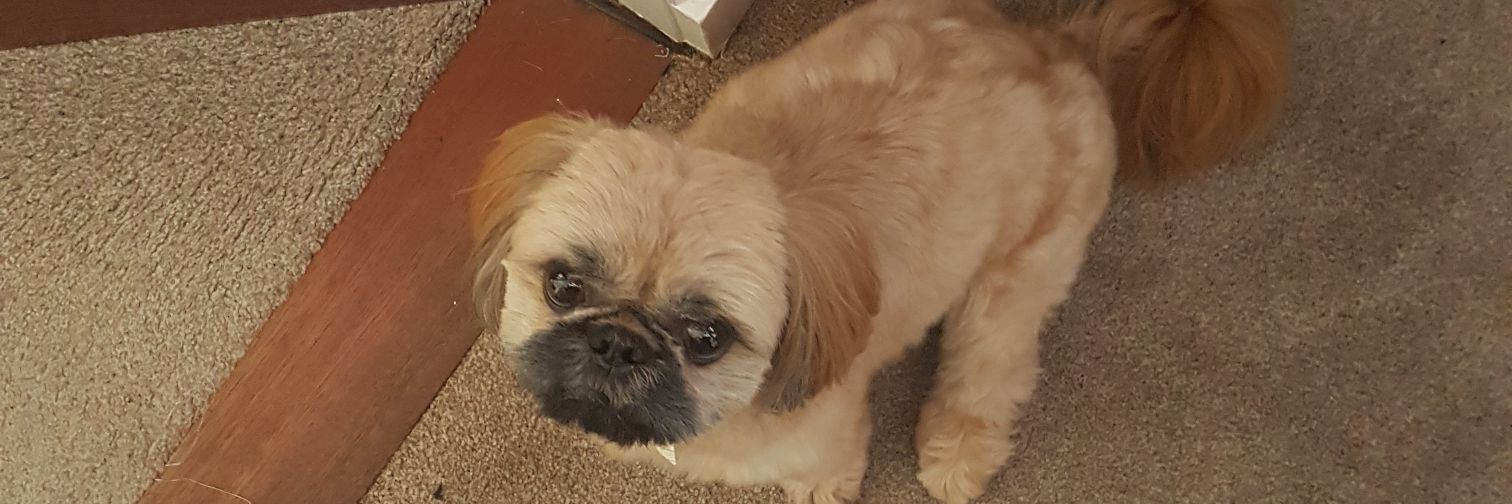 lornerful_'s profile banner image
