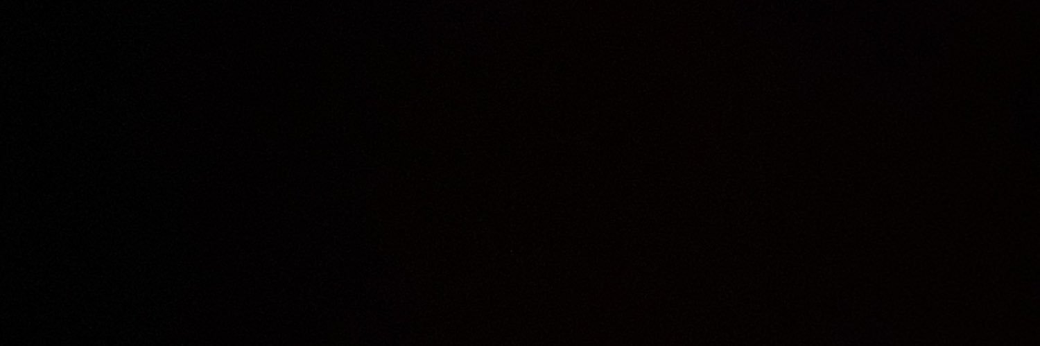 dinasbeach's profile banner image