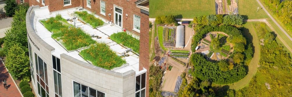 ecophysiolab's profile banner image