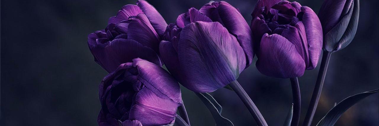 MrsSseamon's profile banner image