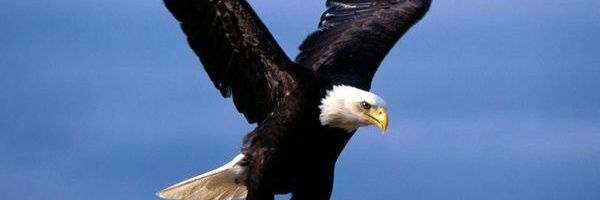 MbS7_7's profile banner image