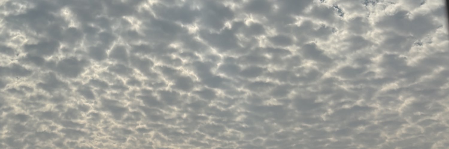 borsaaq8's profile banner image