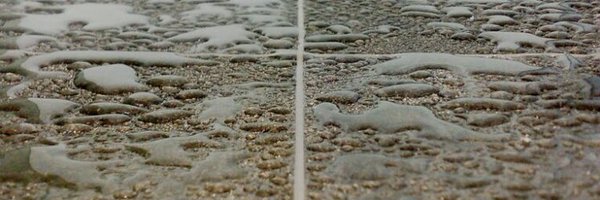 lifetiles___ Profile Banner