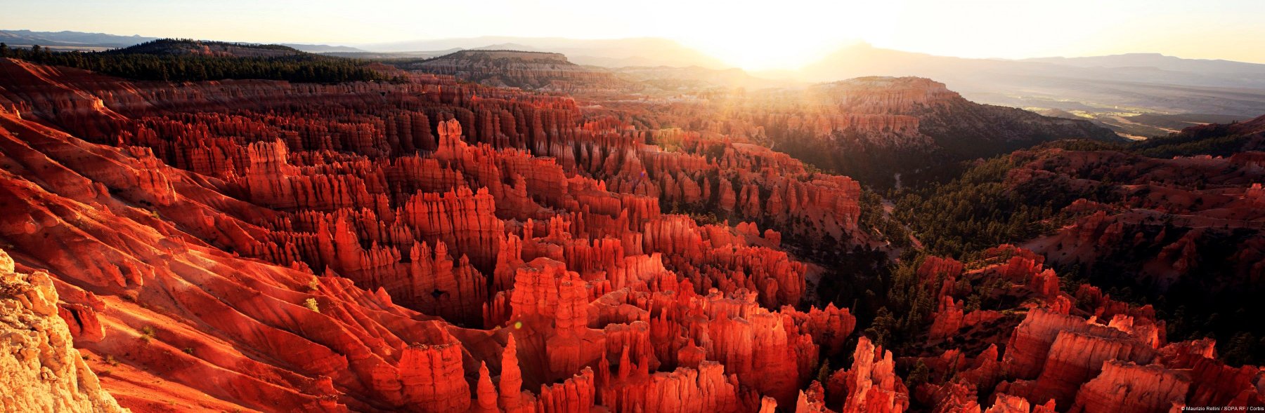 Claire Ginn-Langlands banner