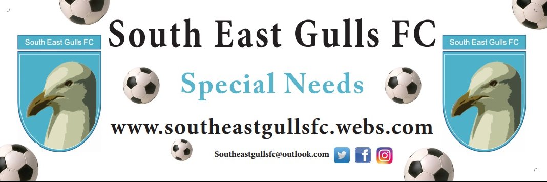 segullsfc's profile banner image