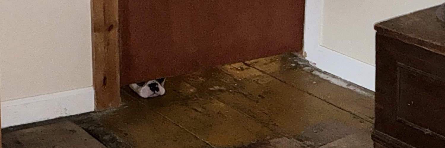 JacobSFrasier's profile banner image