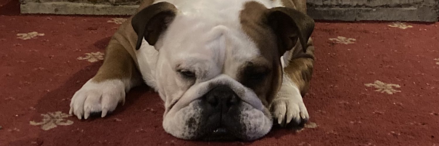MichaelWilds's profile banner image