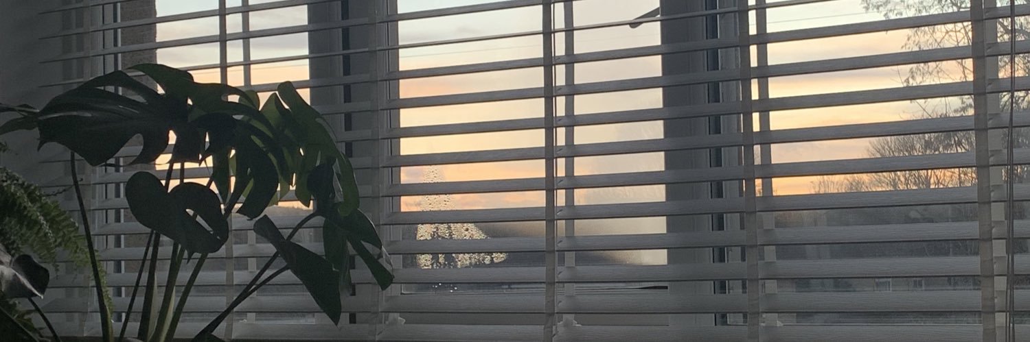 amelianrose's profile banner image