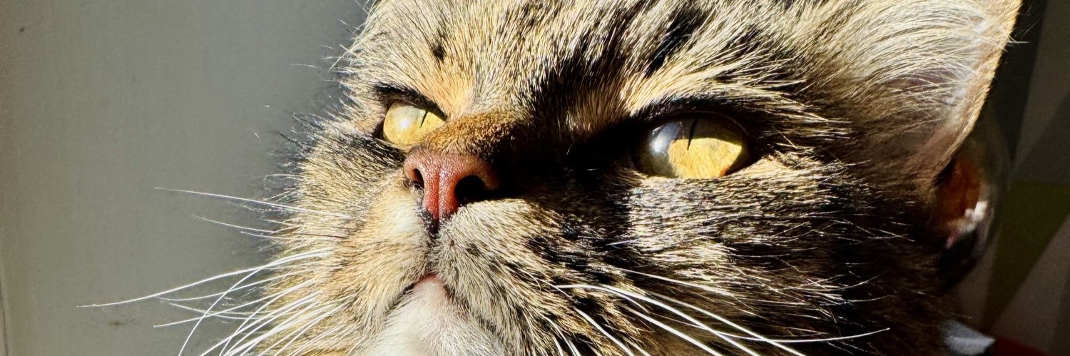 emilysquire_'s profile banner image