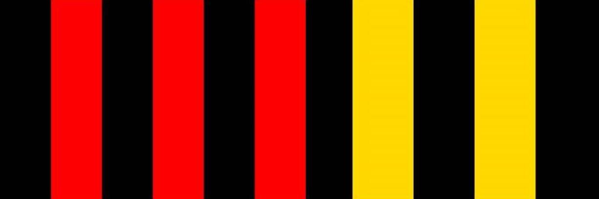 humaannaa's profile banner image