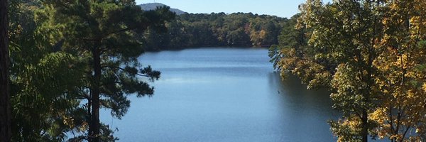 CardboardLifer Profile Banner