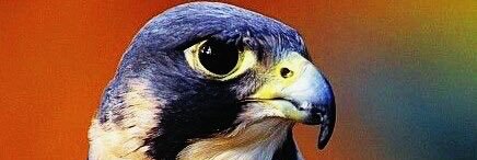 kassemcom2's profile banner image