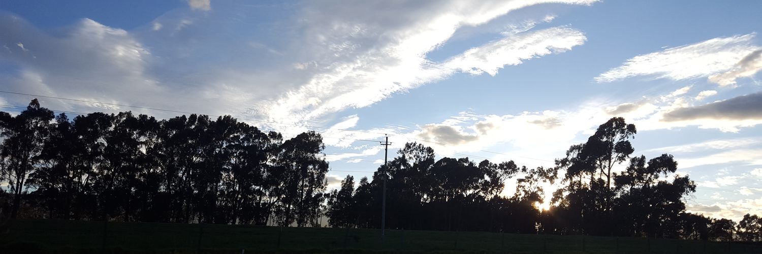 Christian Naranjo banner