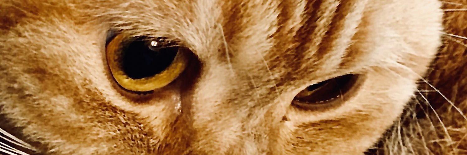 K5N5m's profile banner image