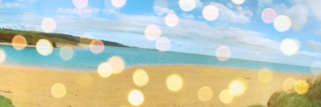 Scottos Maximos banner
