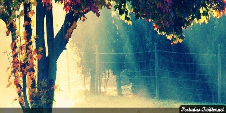 yuu_sanchez's profile banner image