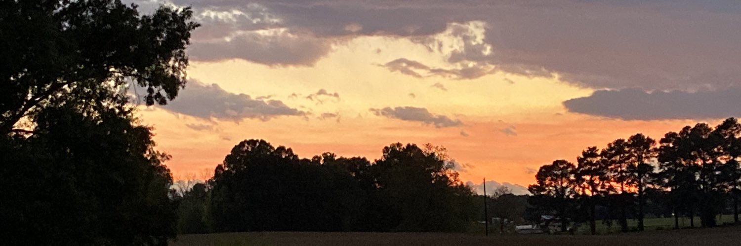 barnesky's profile banner image