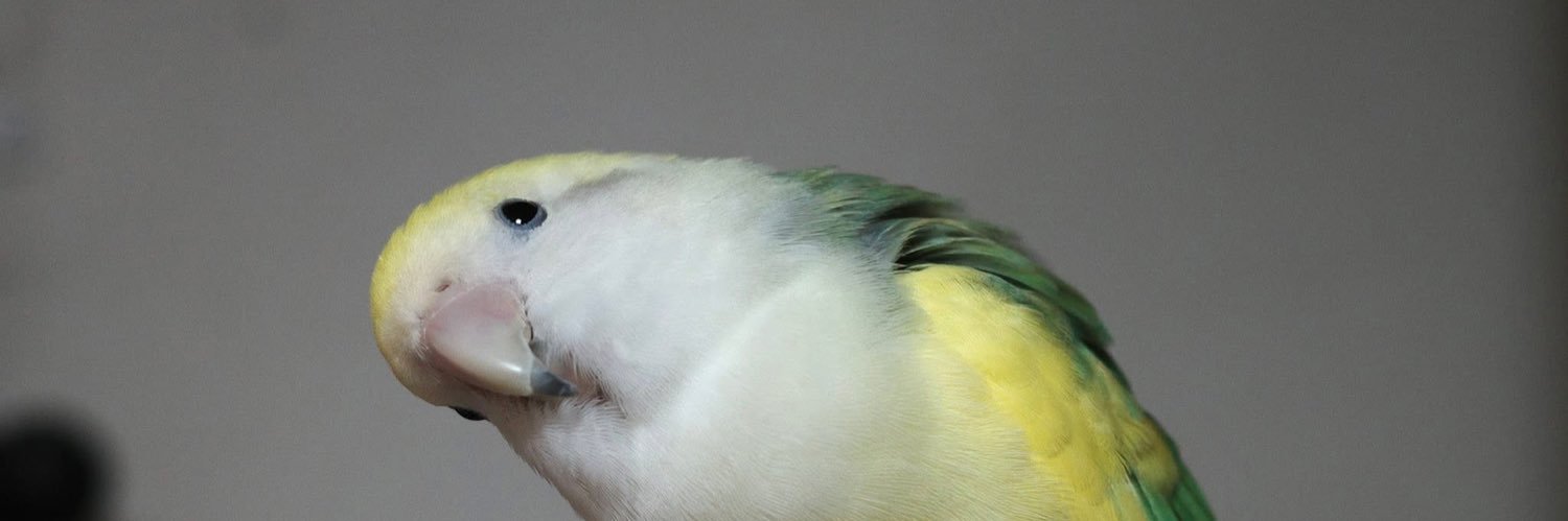 すとりーむじろー banner