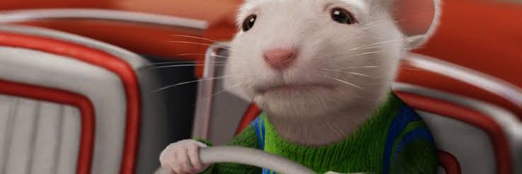 sumbilal's profile banner image