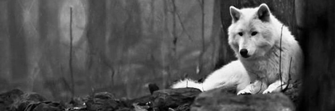 J16Jenny's profile banner image